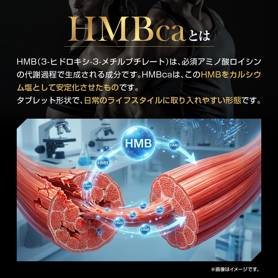 HMB クレアルカリンサプリメント
