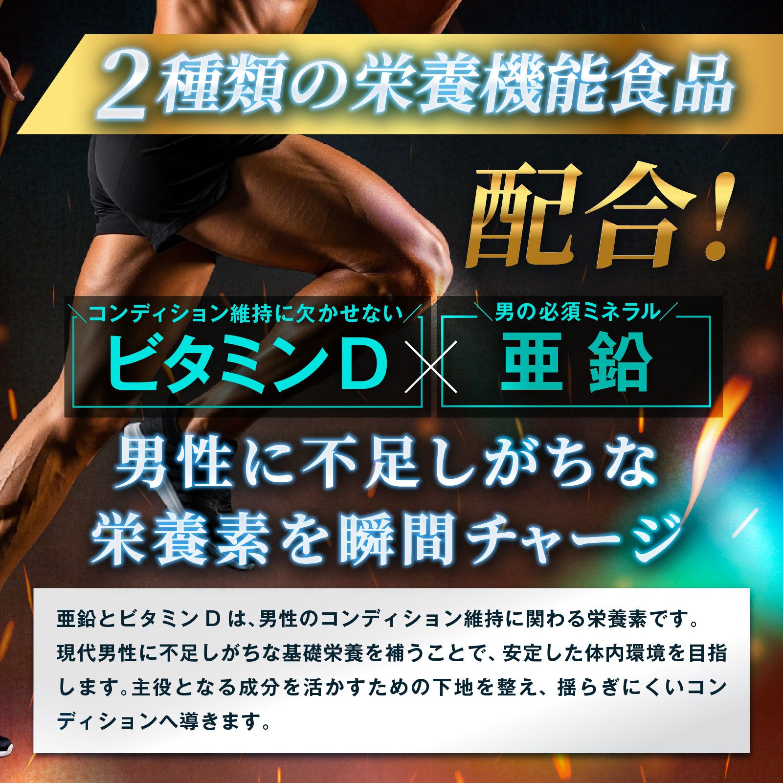 TESTROIDEX PRO 応援特別セール 定期コース