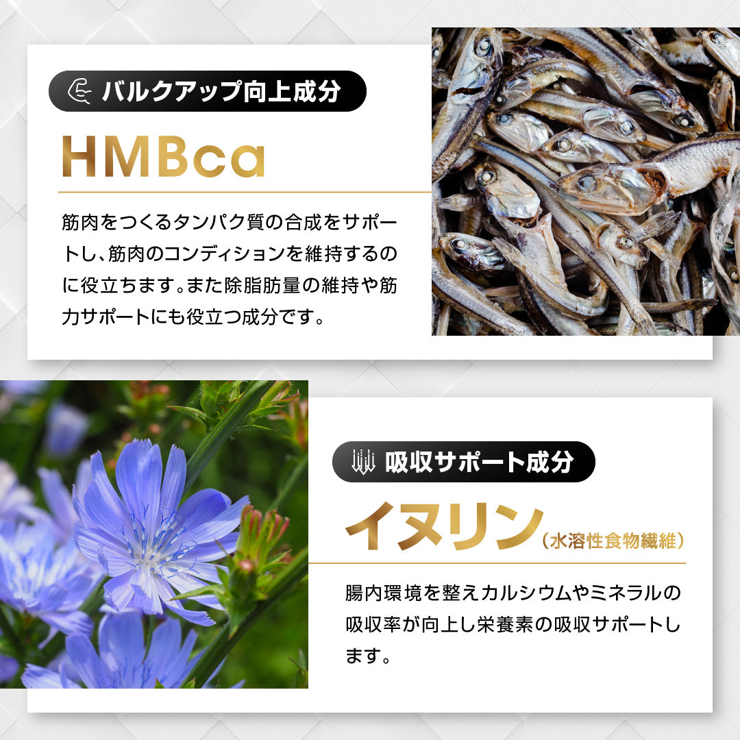 BULK EAA 人工甘味料不使用 はちみつレモン風味 500g