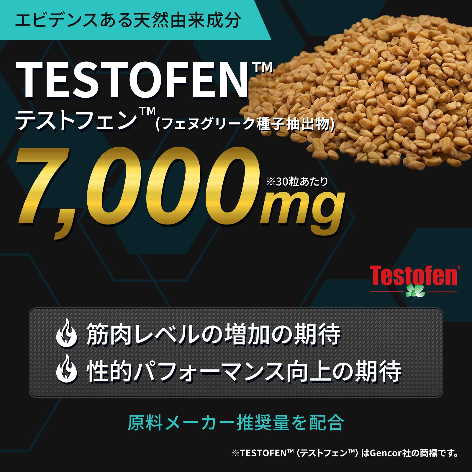 TEST ROID EX（テストロイド）30粒（10日分）トライアル